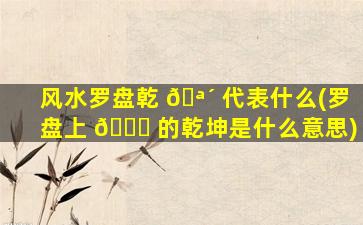 风水罗盘乾 🪴 代表什么(罗盘上 🐝 的乾坤是什么意思)